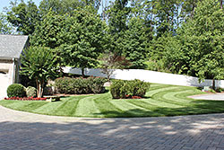 Landscaping