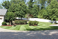 Lawn Maintenance