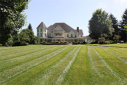 Lawn Maintenance