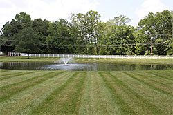 Lawn Maintenance