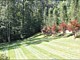 Lawn Maintenance
