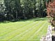 Lawn Maintenance