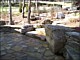 Natural Stone